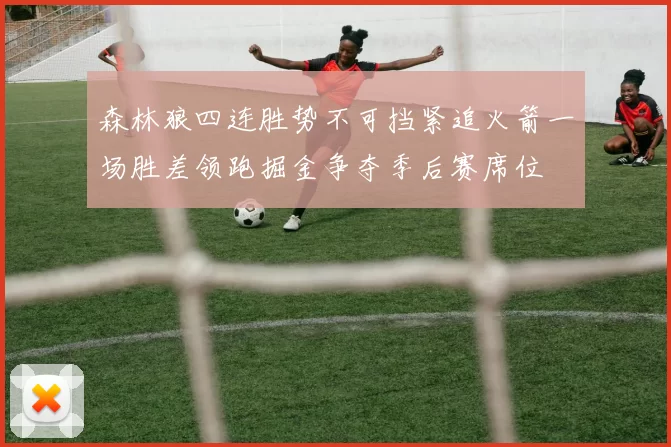 森林狼四连胜势不可挡紧追火箭一场胜差领跑掘金争夺季后赛席位