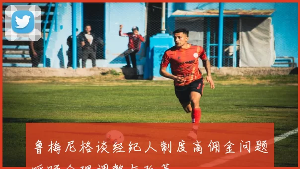 鲁梅尼格谈经纪人制度高佣金问题呼吁合理调整与改革